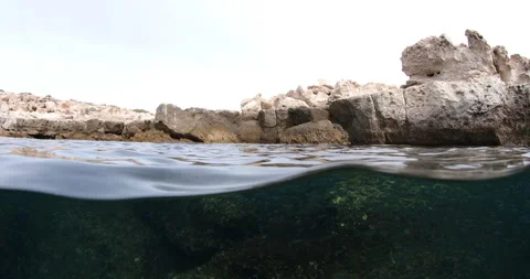 Reefs of the Sea of Cortez Stock Footage 302912988