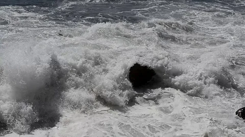 Reefs in surf Video stock 104244598