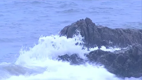 Reefs in the waves on the shore Stock Footage 253772792