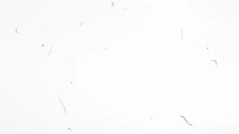 Reel Clutter, Old Tv. Low-density Film Grain Noise, Hair, Spots. Videotape Video stock 155627893