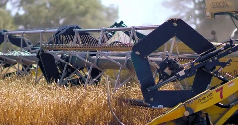 The reel of a harvester Stock Footage 78878769