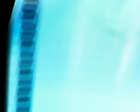 Reel in Motion 3 Stock Footage 103502