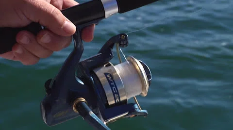 Reel xcu Stock Footage 24451639