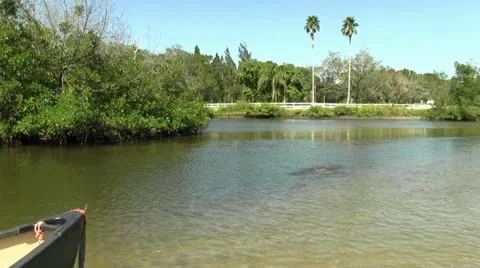 Reeling in a fish Stock-Footage 12464016