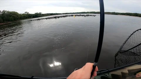 Reeling or pulling and catching walleye fish from kayak on the river Stock Footage 228645346