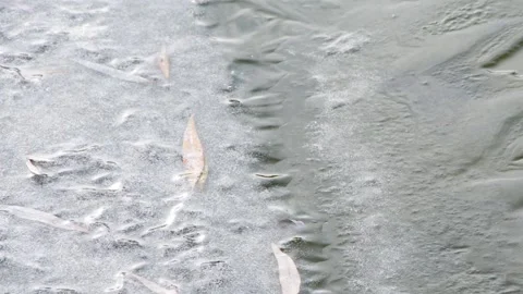 Reezing of the surface of the reservoir, rapid icing of the lake, cold snap Stock Footage 120422779
