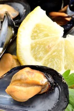 Ref mussels with lemon Stock Photos