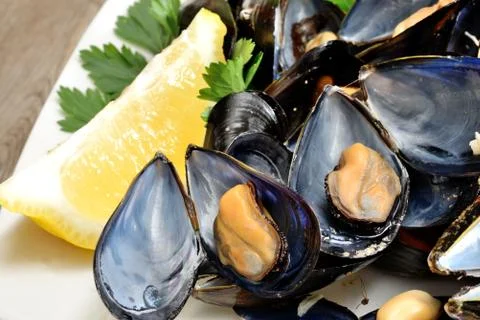 Ref mussels with lemon Stock Photos