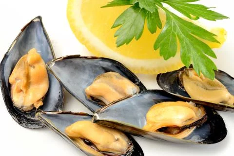 Ref mussels with lemon Stock Photos