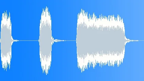 Ref Whistle 03 Sound Effect
