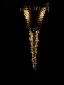 Refection of the Eiffel Tower 스톡 사진