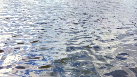 Refective surface of water Stock Footage 306952380