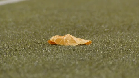 Referee picking up yellow penalty flag on field Stock Footage 104772149