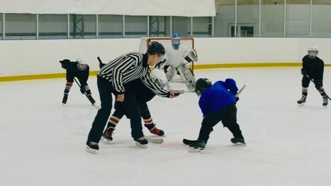Referee throwing puck at match Video stock 111341510