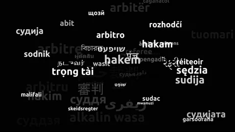 Referee Translated in 64 Worldwide Languages Endless Looping 3d Zooming Wordc Video stock 145214337
