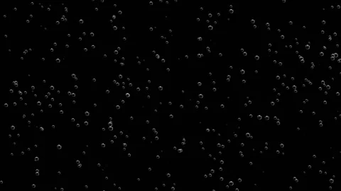 Refined champagne bubbles background. Luxurious drink. Stock Footage 135308453