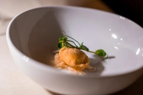 Refined fried dumpling with microgreens in a deep white bowl Fotos de archivo