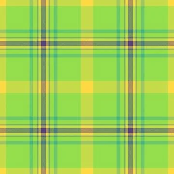 A refined tartan plaid repeat with interlaced check lines and a woven fabric  Stockillustratie
