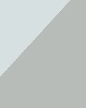 A refined two-tone composition uses a diagonal division of pale cool tones .. Stock Illustration