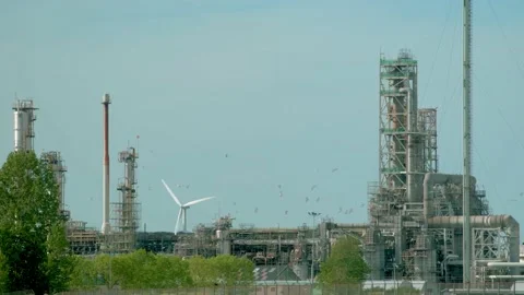 Refinery with birds Stock Footage 131649852