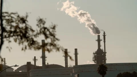 Refinery with branch in foreground. Stock Footage 114638197