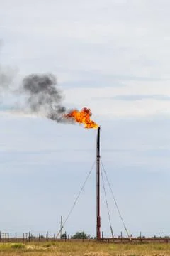 Refinery fire gas torch Фото