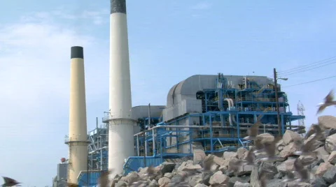 Refinery with seaguls Stock Footage