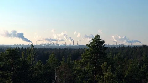 Refinery with smoking chimneys on the horizon - coniferous forest in front of it Stock Footage
