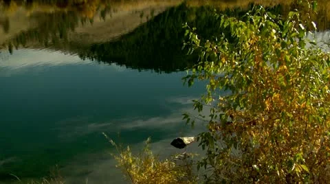 Reflect log ripple Stock Footage 10888120