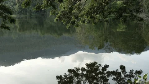 Reflect mountain, tree and fluffy cloud in blue sky in water of reservoir Stock Footage 239607051