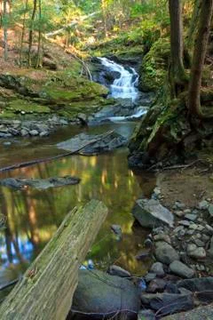 Reflected Adirondack Forest Stock Photos
