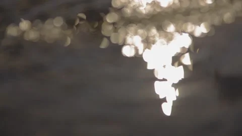 Reflected circle bokeh in afternoon Stock Footage 297937129