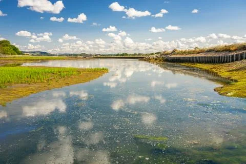 Reflected clouds in creek water Stock Photos