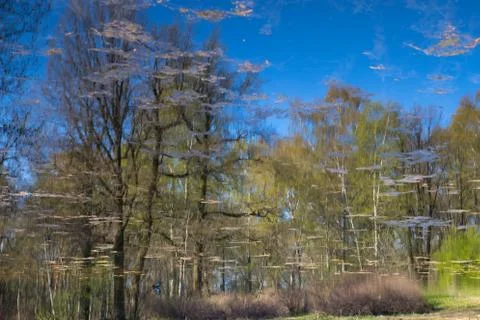 Reflected in the lake Stock Photos