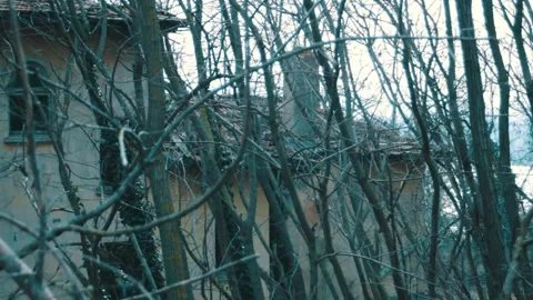 Reflected light breaks through a horror forest park with an abandoned house with Stock Footage 315180010