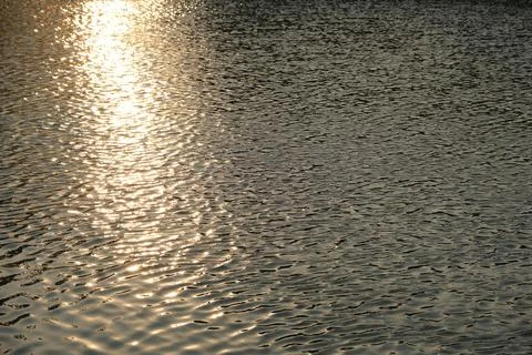 Reflected light of the sun hits the river water surface with waves. Stock Photos
