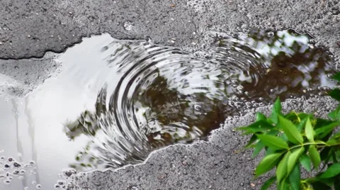 Reflected in a Puddle after a rain Stock Footage 64850434