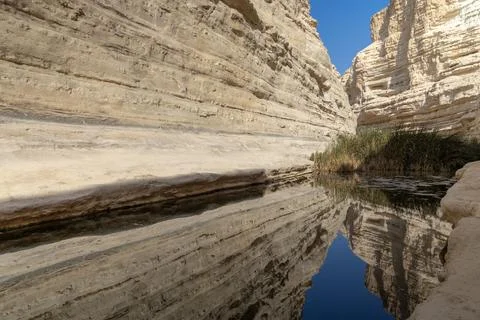 Reflected Rock Cliffs in Ein Evdat Nature Reserve Stock Photos