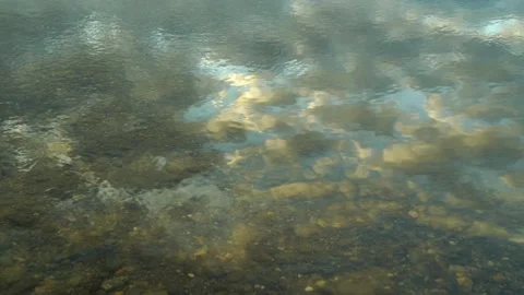 Reflected sky in a clear mountain river Stock Footage 148567892