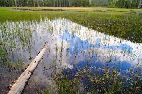 Reflected sky Stock Photos