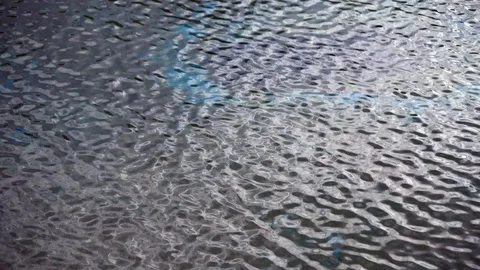 Reflected Tree on Water Surface Stock Footage 102766987