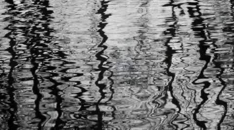 Reflected Trees Stockbeeldmateriaal 10799041