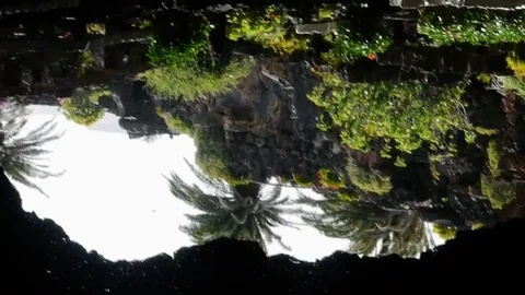 Reflected in water Stock Footage 75237107