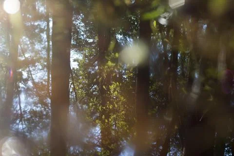 Reflected in water Stock Photos