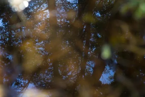Reflected in water Stock Photos