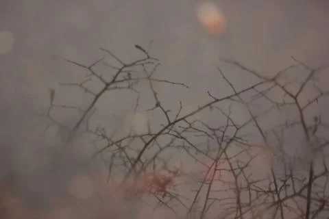 Reflected in the water Foto stock