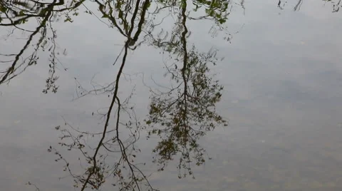 Reflected in the waters of the river Stock Footage 48815240