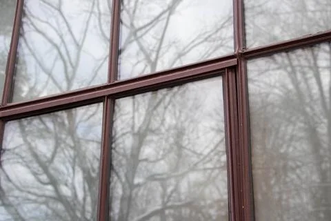 Reflected Winter Trees in Multi‑Pane Window Stock Photos