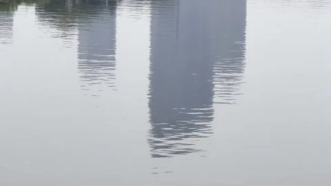 Reflecting buildings in the lake Stock Footage 232317242