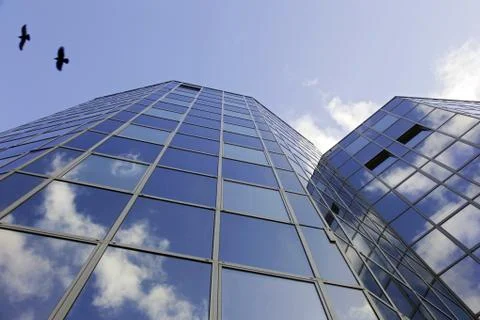 Reflecting facade and crows Stock Photos